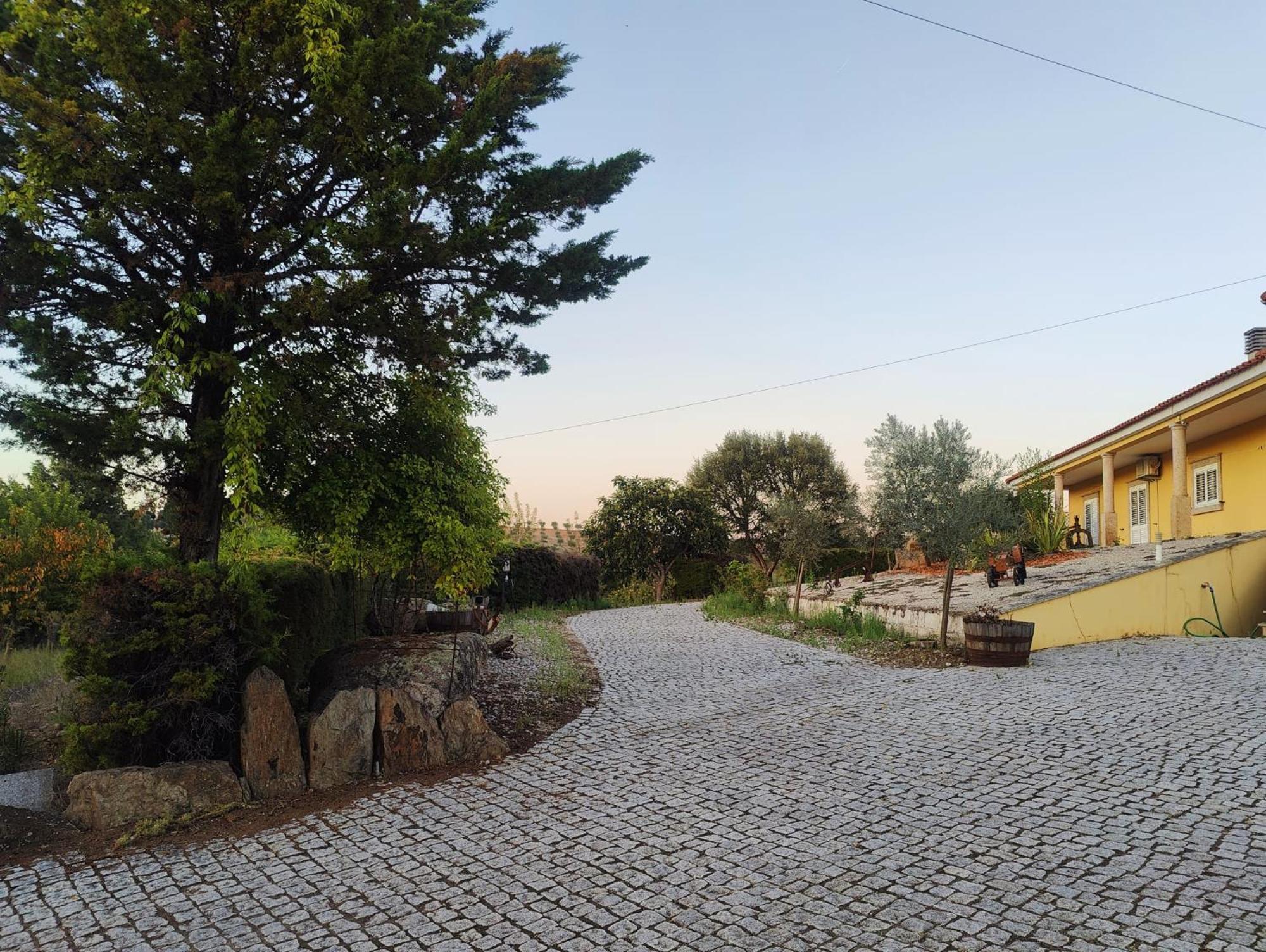 Quinta Da Libelinha Alojamento Local - Mirandela Ngoại thất bức ảnh