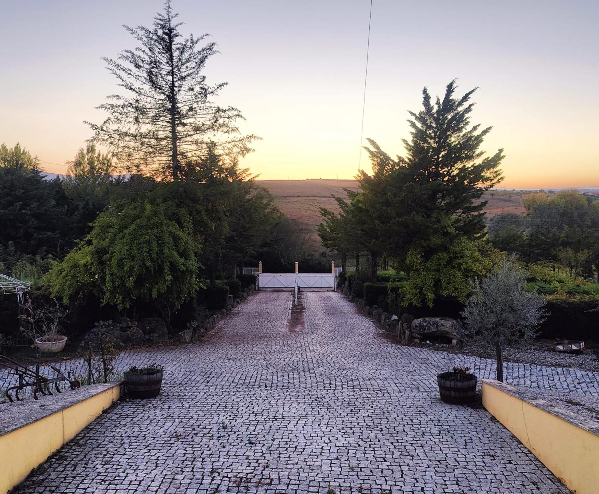 Quinta Da Libelinha Alojamento Local - Mirandela Ngoại thất bức ảnh